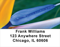 Blooming Paradise Address Labels | LBFLO-02