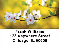 Blooming Closeups Address Labels | LBFLO-05