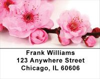 Blossoms In Pink and Blue Address Labels | LBFLO-06