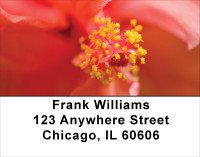 Bouquet of Hibiscus Address Labels | LBFLO-07