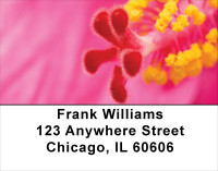 Bouquet of Hibiscus Address Labels | LBFLO-07