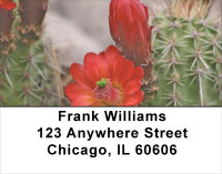 Desert In Bloom Address Labels | LBFLO-08