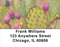 Desert In Bloom Address Labels | LBFLO-08