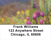 Desert In Bloom Address Labels | LBFLO-08