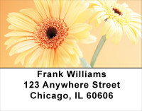 Colors In Bloom Address Labels | LBFLO-10