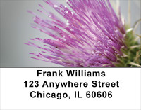 Colors In Bloom Address Labels | LBFLO-10