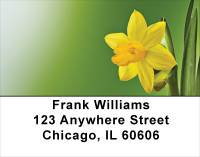 Daffodils Address Labels | LBFLO-12