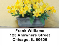 Daffodils Address Labels | LBFLO-12