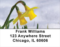 Daffodils First To Bloom Address Labels | LBFLO-13