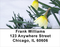 Daffodils First To Bloom Address Labels | LBFLO-13