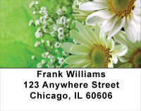 Daisies On Green Address Labels | LBFLO-14