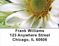 Daisies On Green Address Labels | LBFLO-14