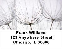 Dandelion Address Labels | LBFLO-15