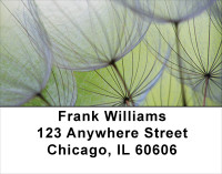 Dandelion Address Labels | LBFLO-15
