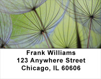 Dandelion Address Labels | LBFLO-15