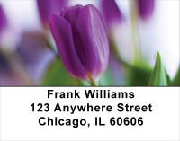 Delightful Days Address Labels | LBFLO-16