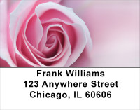 Delightful Days Address Labels | LBFLO-16