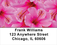 Hibiscus Address Labels | LBFLO-19