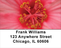Hibiscus Address Labels | LBFLO-19
