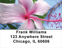 Hibiscus Address Labels | LBFLO-19
