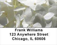 Hydrangea With Guests Address Labels | LBFLO-21