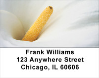 Calla Lilies Address Labels | LBFLO-23