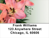 Day Lilies Delight Address Labels | LBFLO-25