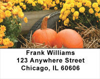 Colorful Fall Mums Address Labels | LBFLO-31