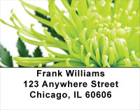 Lacy Mums Address Labels | LBFLO-32