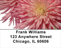 Lacy Mums Address Labels | LBFLO-32