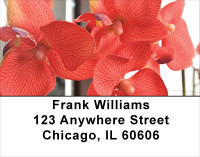 Tropical Orchids Address Labels | LBFLO-34