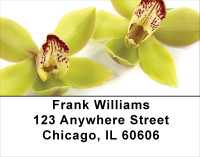 Tropical Orchids Address Labels | LBFLO-34