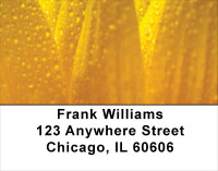 Dewey Colors Address Labels | LBFLO-38