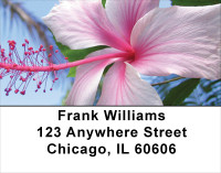 Tropical Floral Favorites Address Labels | LBFLO-44