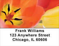 Tulip Temptations Address Labels | LBFLO-45