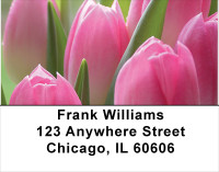 Tulip Temptations Address Labels | LBFLO-45