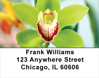 Ultimate Garden Party Address Labels | LBFLO-46