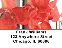 Colors On Fire Address Labels | LBFLO-47