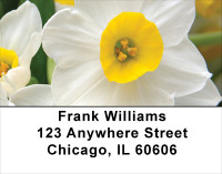 Colors On Fire Address Labels | LBFLO-47
