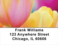 Rainbow Garden Address Labels | LBFLO-51