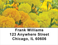 Rainbow Garden Address Labels | LBFLO-51