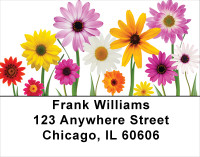 Spring Line Up Address Labels | LBFLO-52