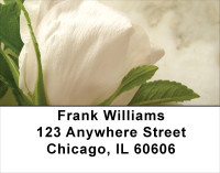 Yellow And White Florals Address Labels | LBFLO-55