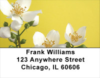 Yellow And White Florals Address Labels | LBFLO-55