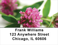Clovers Address Labels | LBFLO-56