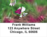 Clovers Address Labels | LBFLO-56