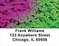 Clovers Address Labels | LBFLO-56