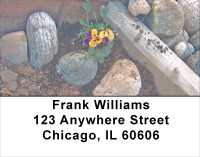 Violas Address Labels | LBFLO-62