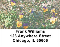 Violas Address Labels | LBFLO-62