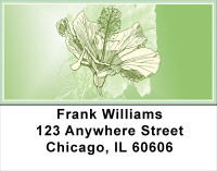 Hibiscus - Yummy Hibiscus Address Labels